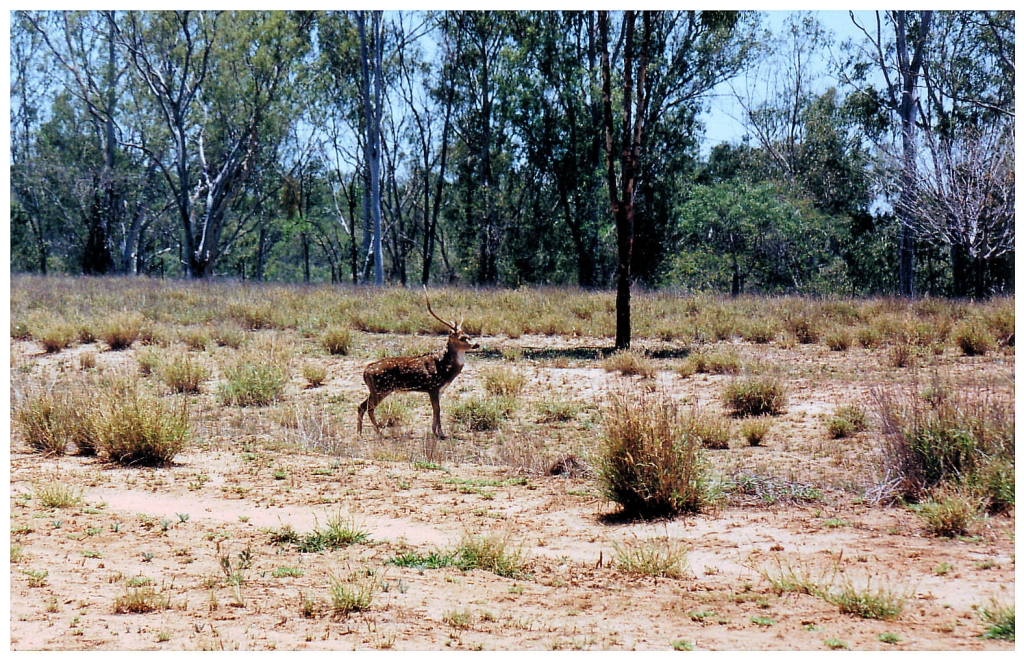 04 - Queensland (52).jpg